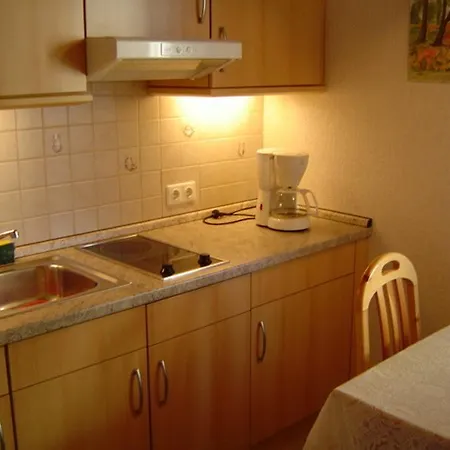 Ferienhaus Seeblick 萨斯尼茨